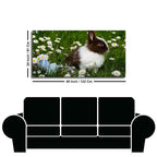 Cute Little White & Brown Bunny Premium Wall Painting