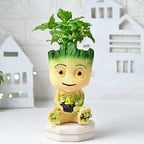 Green Syngonium Live Indoor Plant in Cute Groot Resin Pot