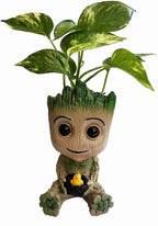 Green Syngonium Live Indoor Plant in Cute Groot Resin Pot
