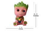 Green Syngonium Live Indoor Plant in Cute Groot Resin Pot