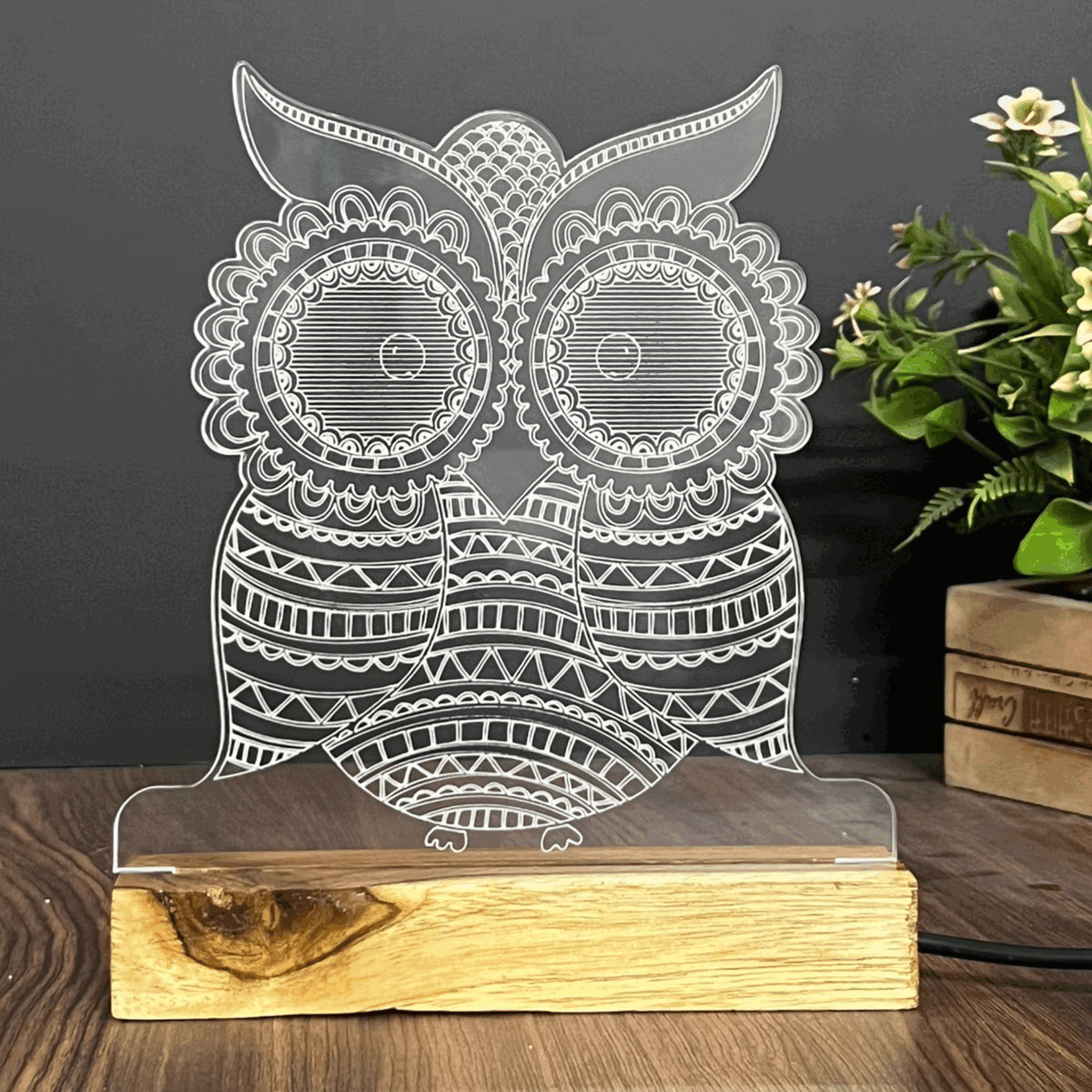 3D Illusion Owl Night Lamp – Acrylic LED Light with Wooden Base - Harshita Craft