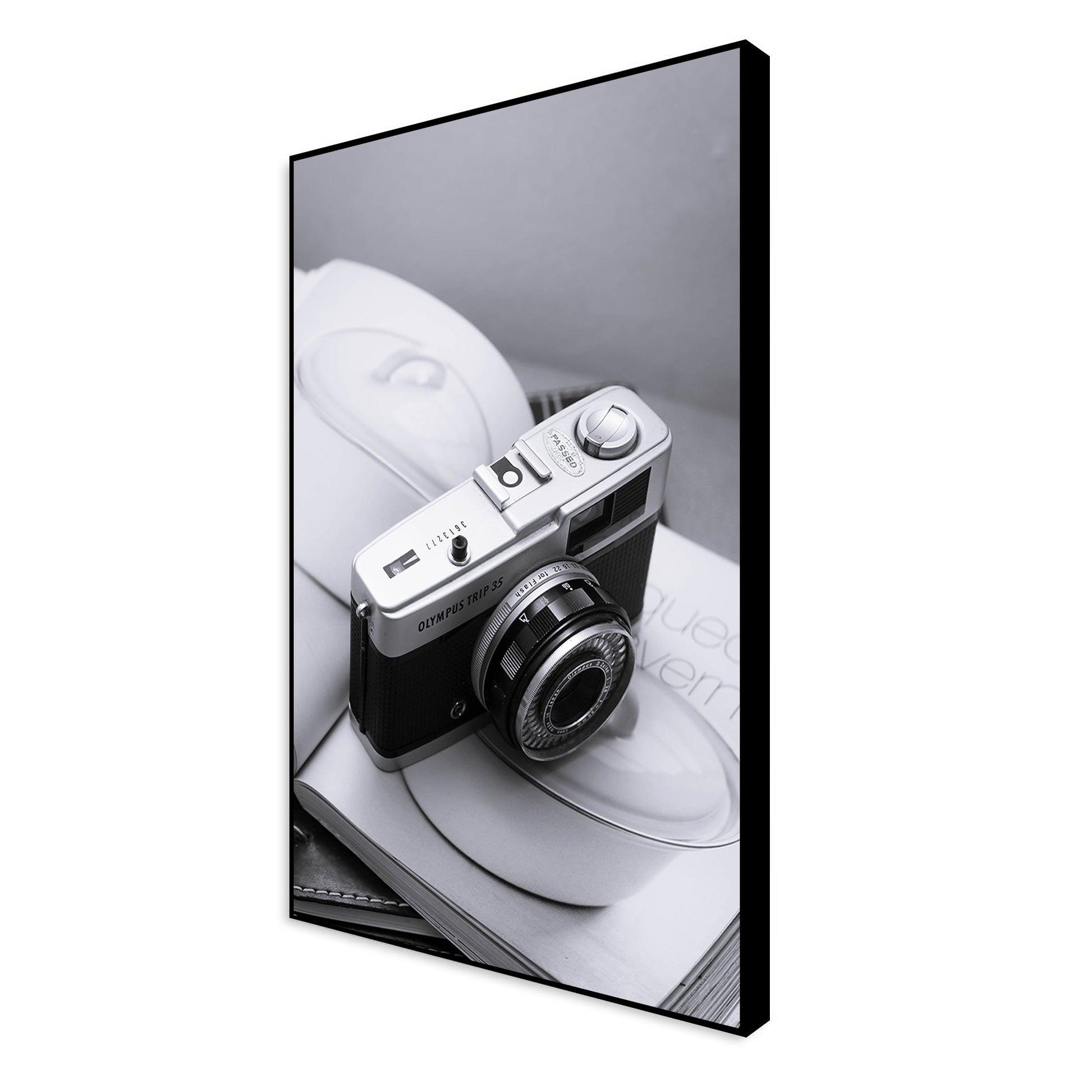 Creative Photography Floating Canvas Wall Painting - Decor Mantra 