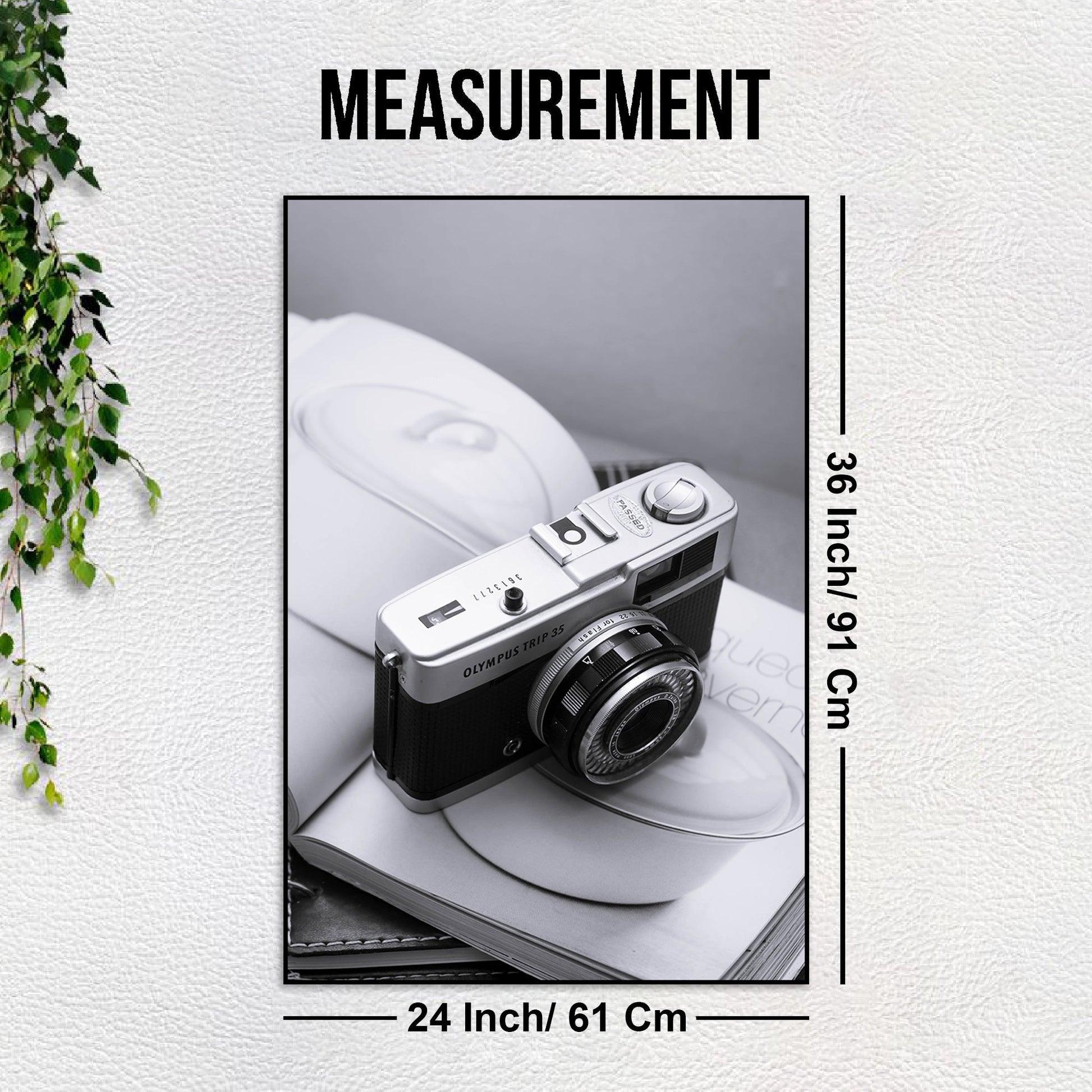 Creative Photography Floating Canvas Wall Painting - Decor Mantra 