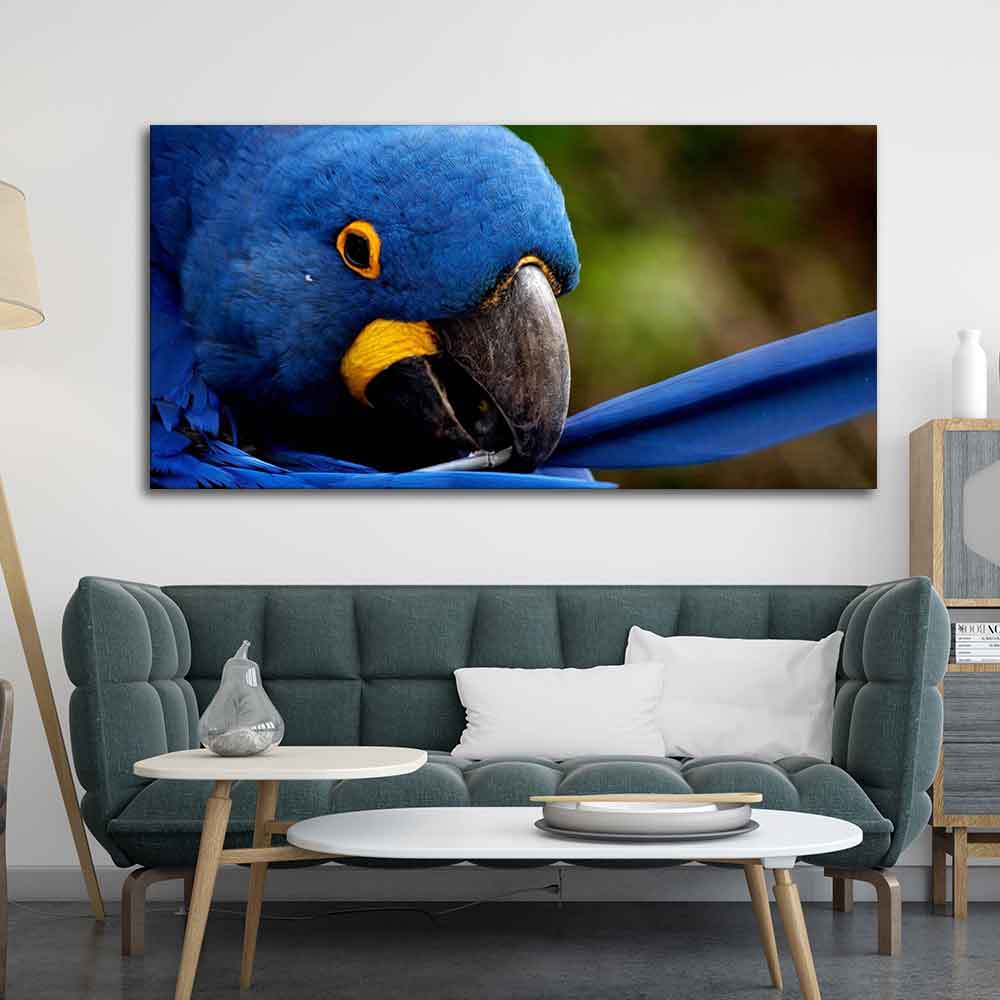 Premium Wall Painting of Blue Mascaw Parrot Harshita Crafts